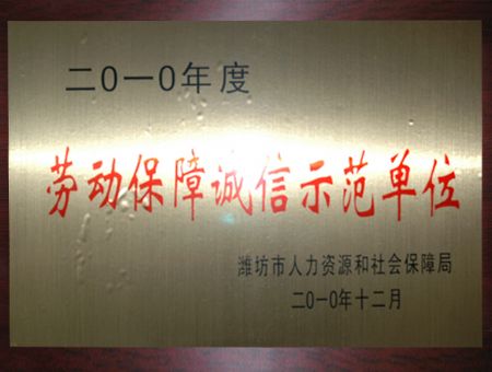 點擊查看詳細信息<br>標(biāo)題：勞動保障誠信示范單位 閱讀次數(shù)：6635